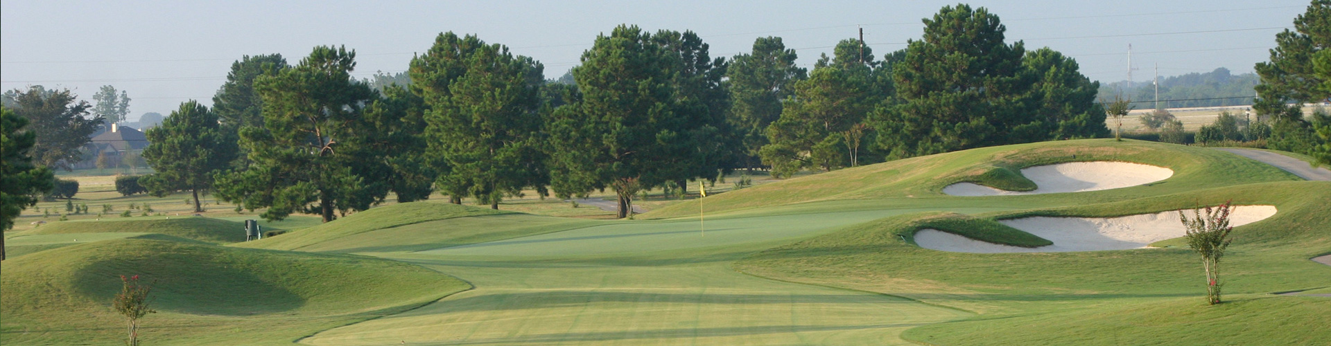 view of golf course green