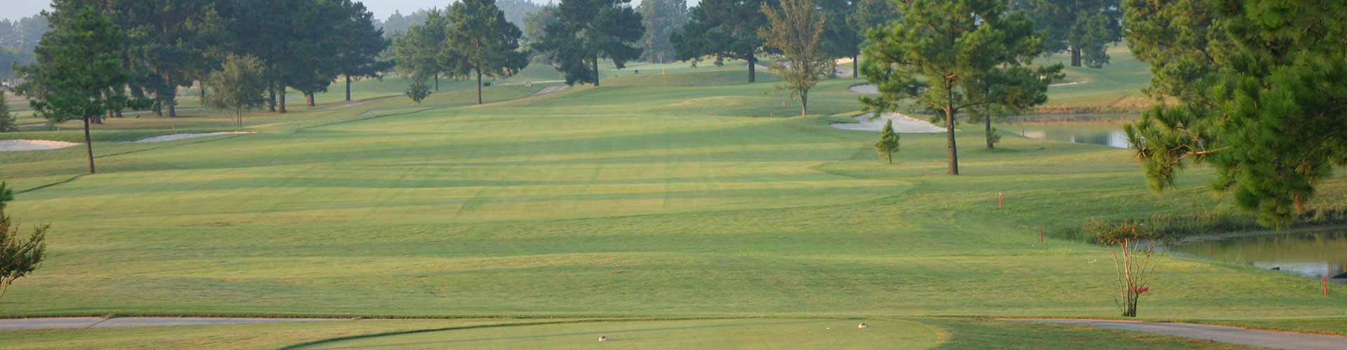 view of golf course green